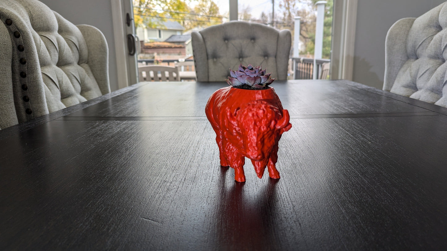 3D Printed Buffalo Planter, Red and Blue Succulent Pot, Eco-Friendly Plant Holder, Unique Home Décor Gift