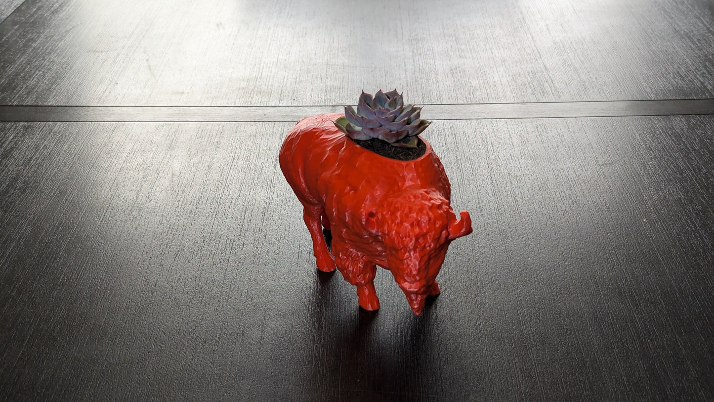 3D Printed Buffalo Planter, Red and Blue Succulent Pot, Eco-Friendly Plant Holder, Unique Home Décor Gift