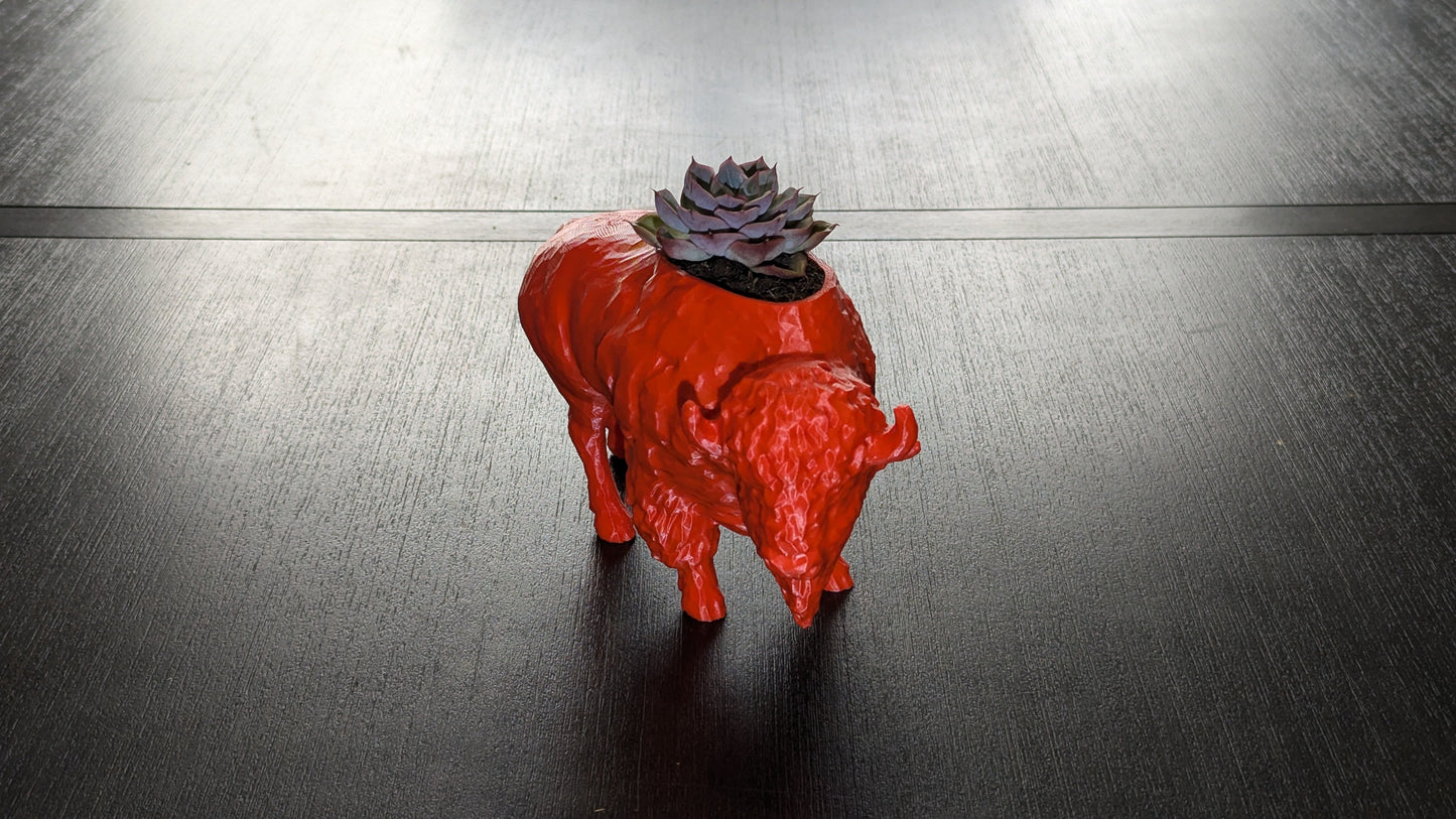 3D Printed Buffalo Planter, Red and Blue Succulent Pot, Eco-Friendly Plant Holder, Unique Home Décor Gift